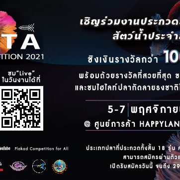 BETTA SOCIETY COMPETITION 2021