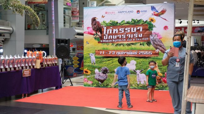 ไก่หรรษา ปักษาร่าเริง ที่ห้างเอ็นมาร์ค พลาซ่า ชั้น1 ไก่หรรษา ปักษาร่าเริง