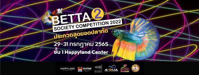 HAPPYLAND BETTA 2nd SOCIETY COMPETITION 2022