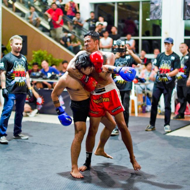 HAPPYLAND STREET FIGHT TFFL2