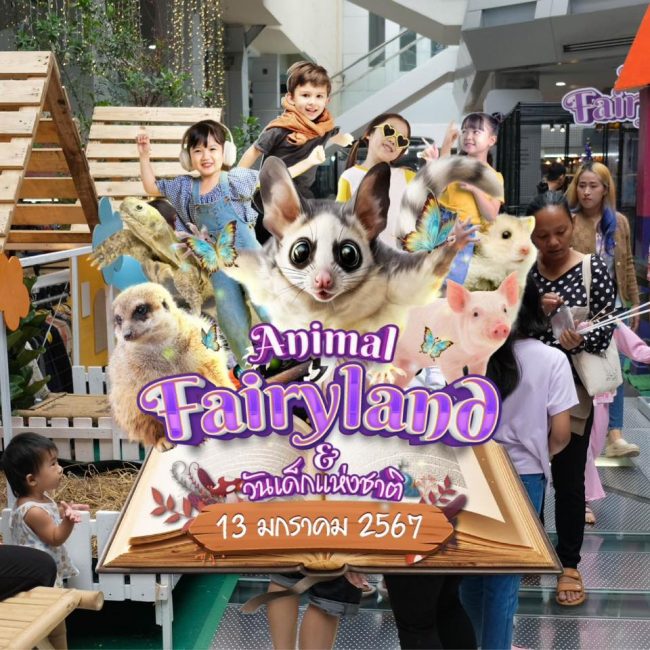Animal Fairyland-01