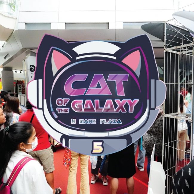 ประกวดแมว01